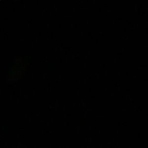 Meet your Posher, Rosa